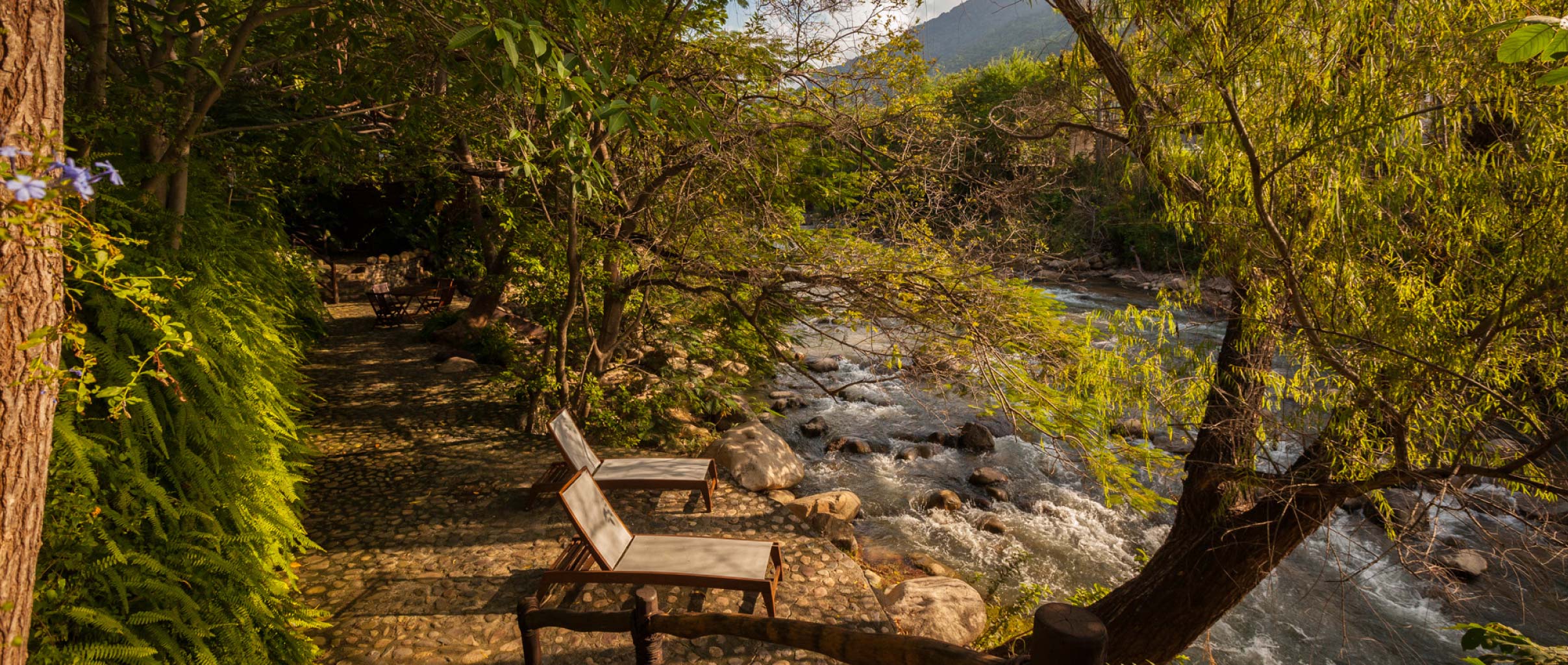 places to retire in mexico